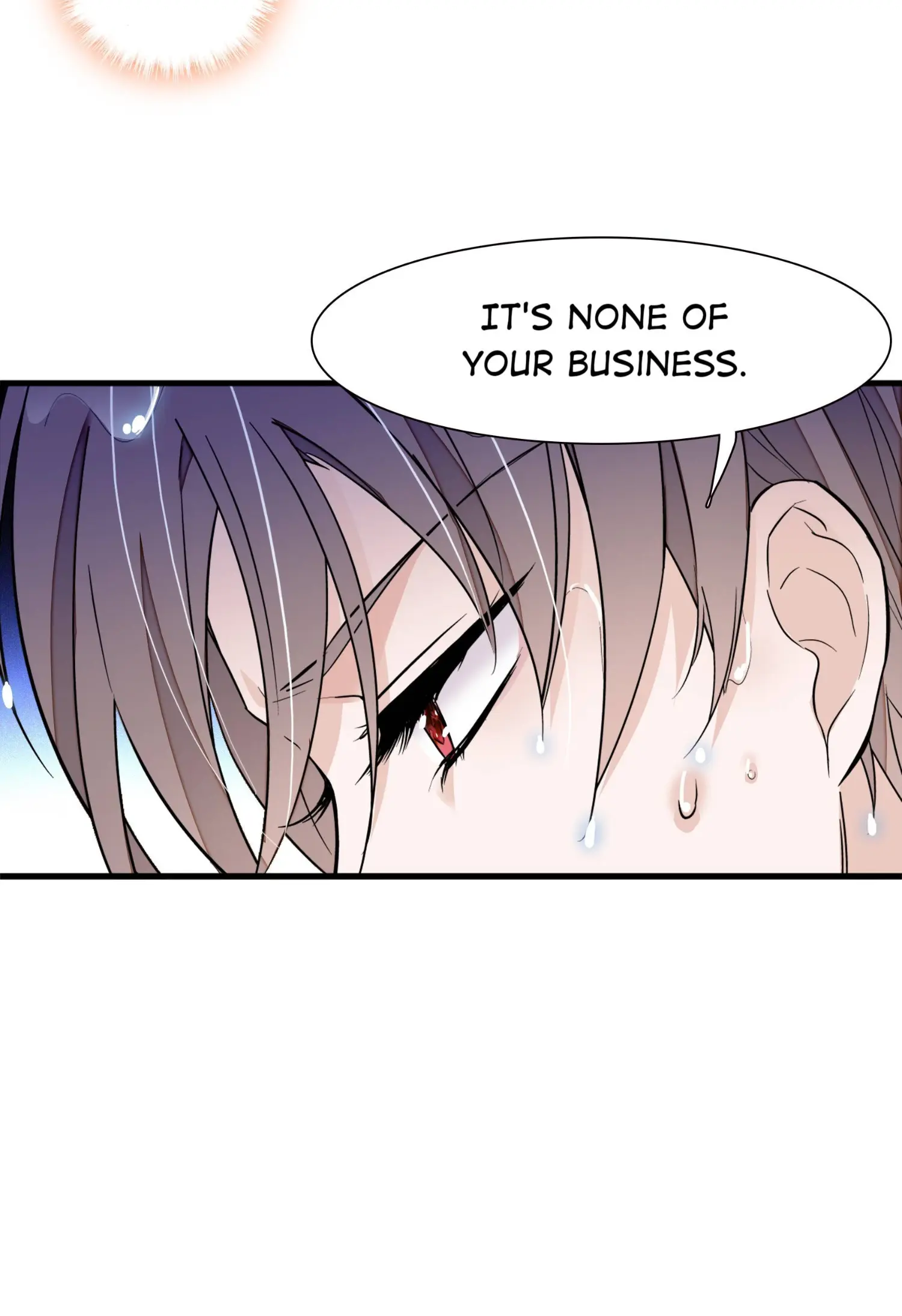Dragon and Phoenix flip Chapter 53 - page 14