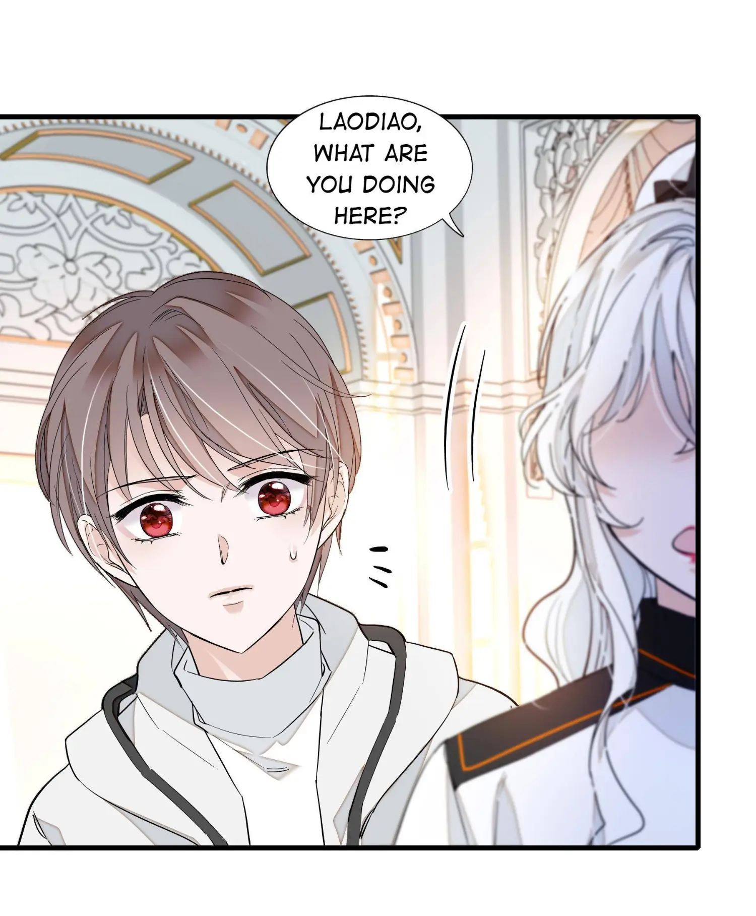 Dragon and Phoenix flip Chapter 25.1 - page 8