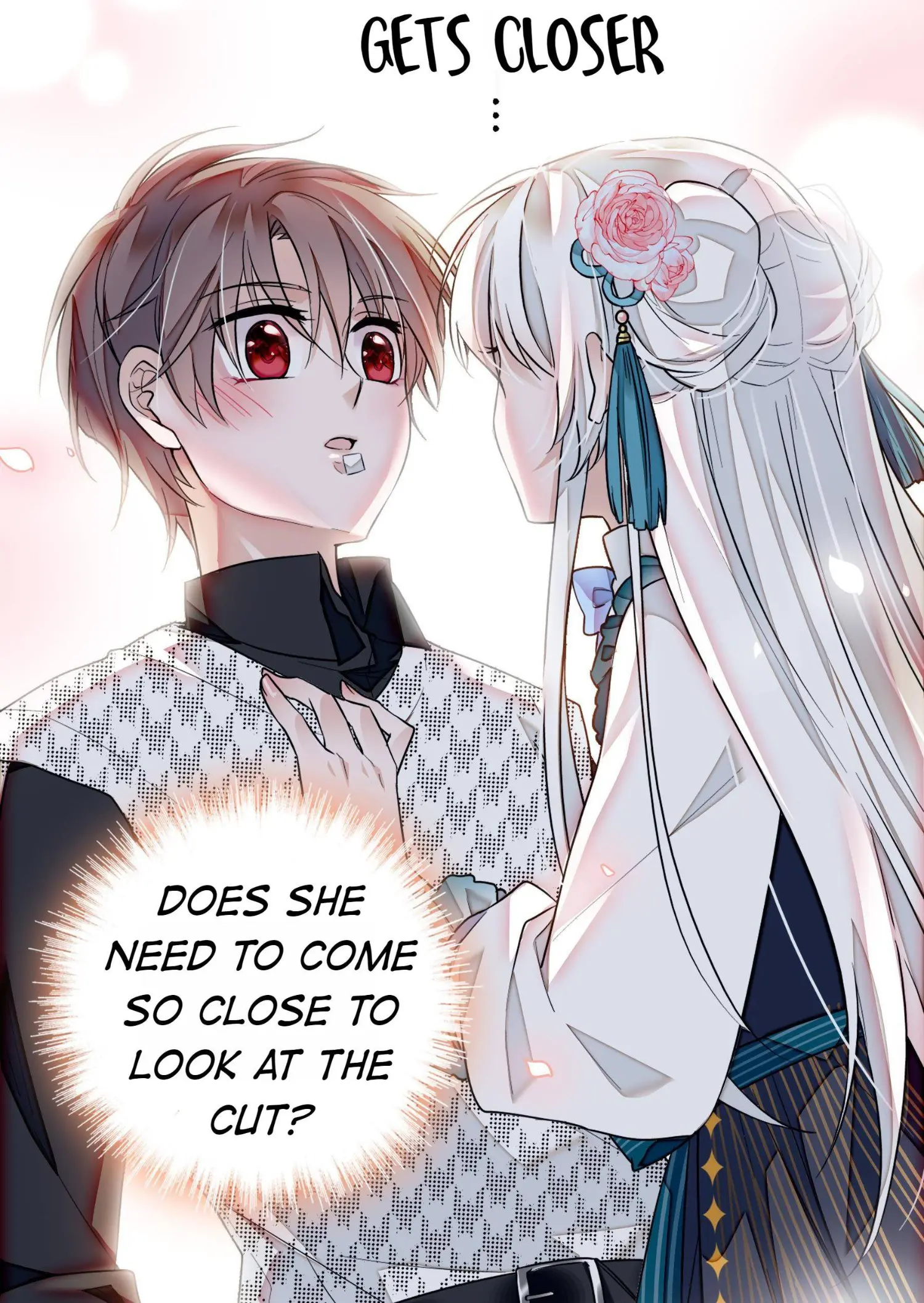 Dragon and Phoenix flip Chapter 25 - page 25