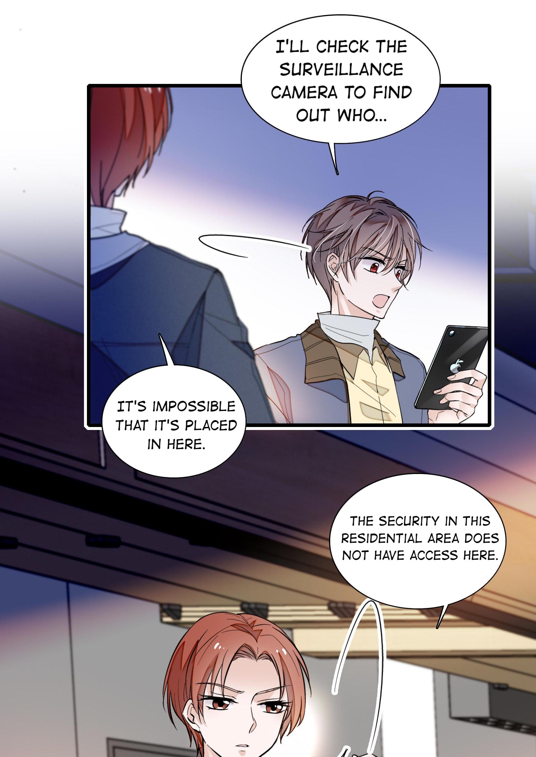 Dragon and Phoenix flip Chapter 40 - page 14