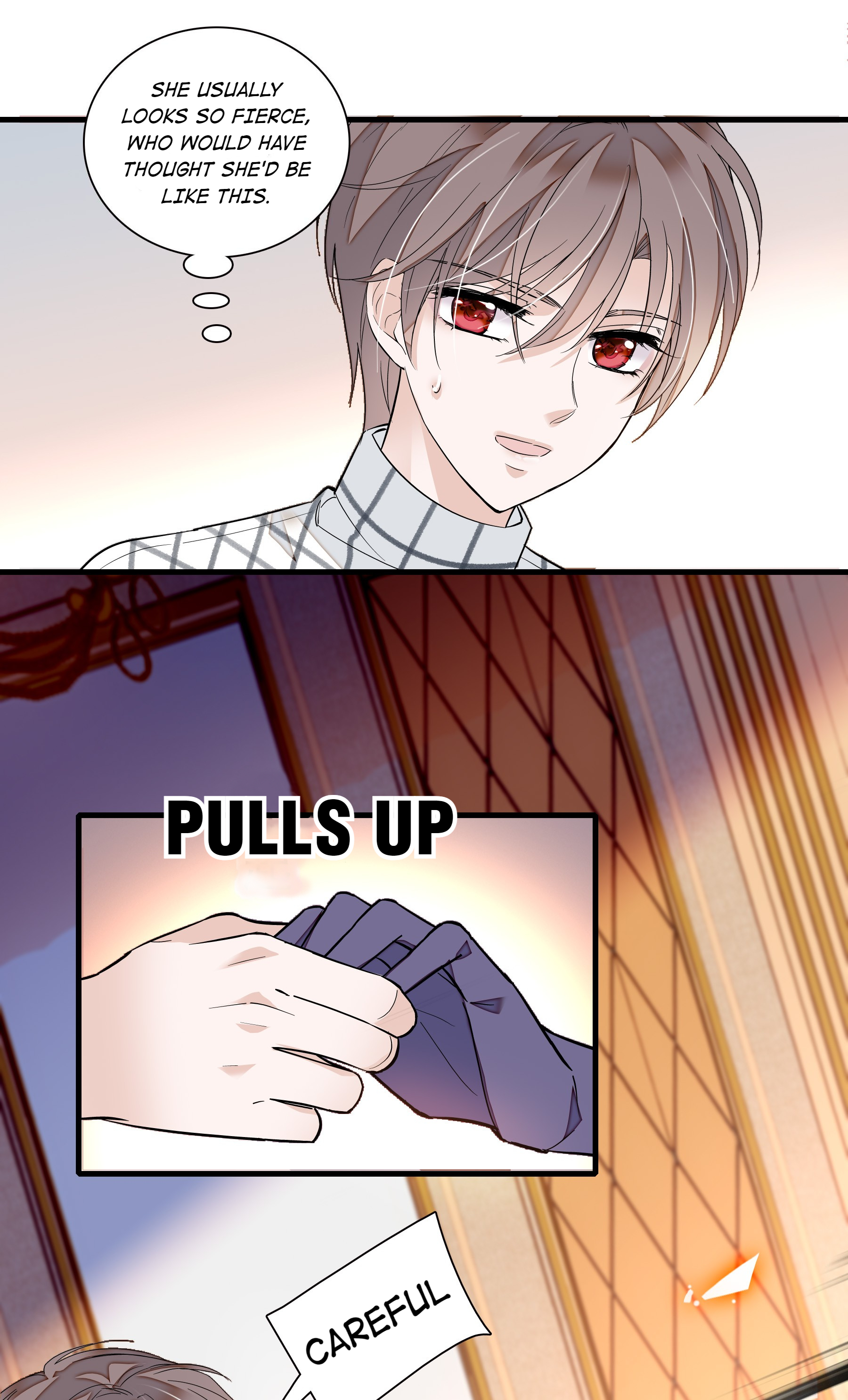 Dragon and Phoenix flip Chapter 49 - page 11