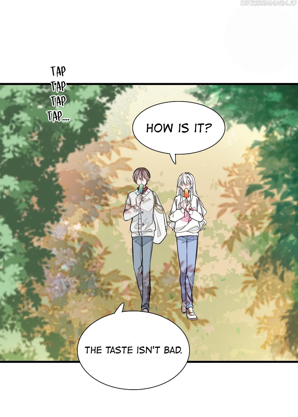 Dragon and Phoenix flip Chapter 60.8 - page 28