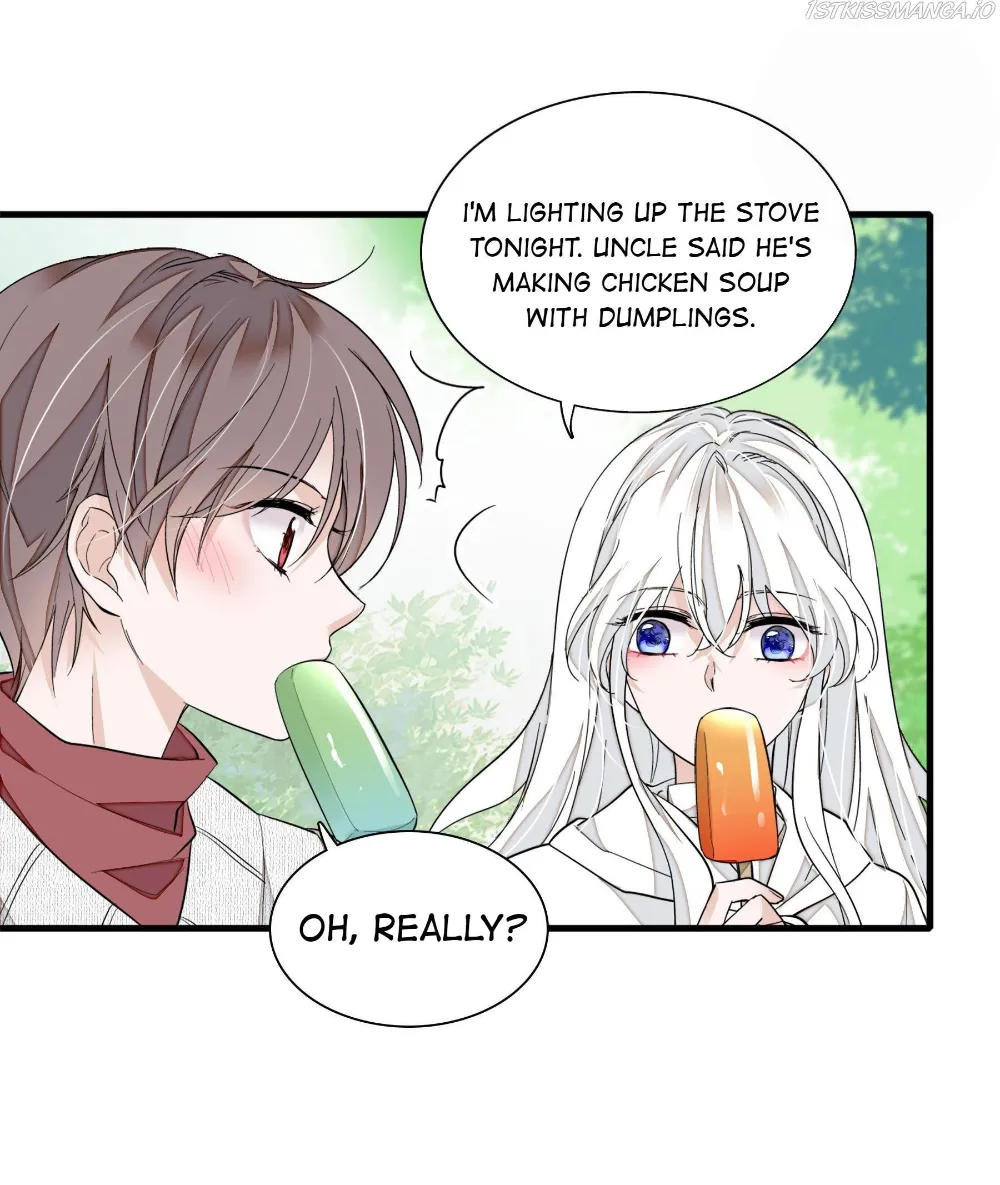 Dragon and Phoenix flip Chapter 60.8 - page 29