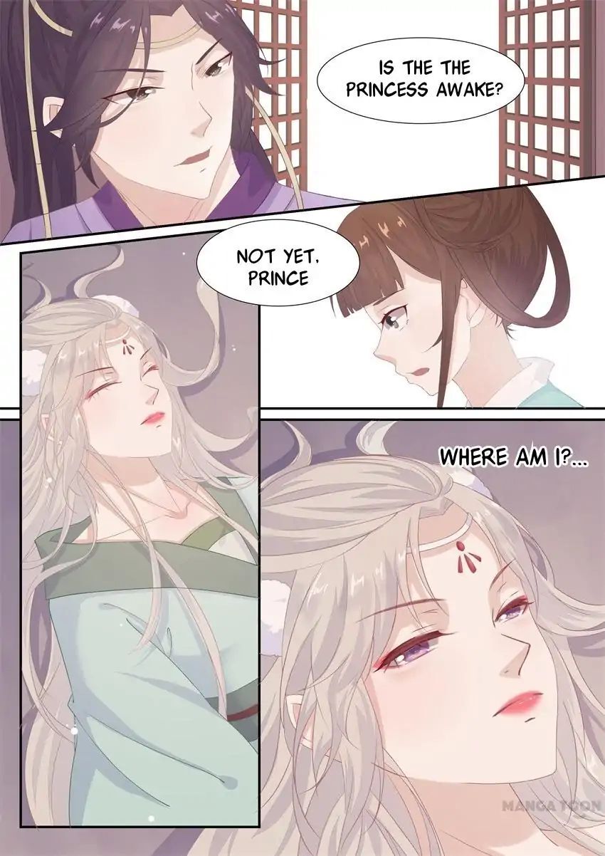 Crown Princess is a Fairy Fox! Chapter 4 - page 7