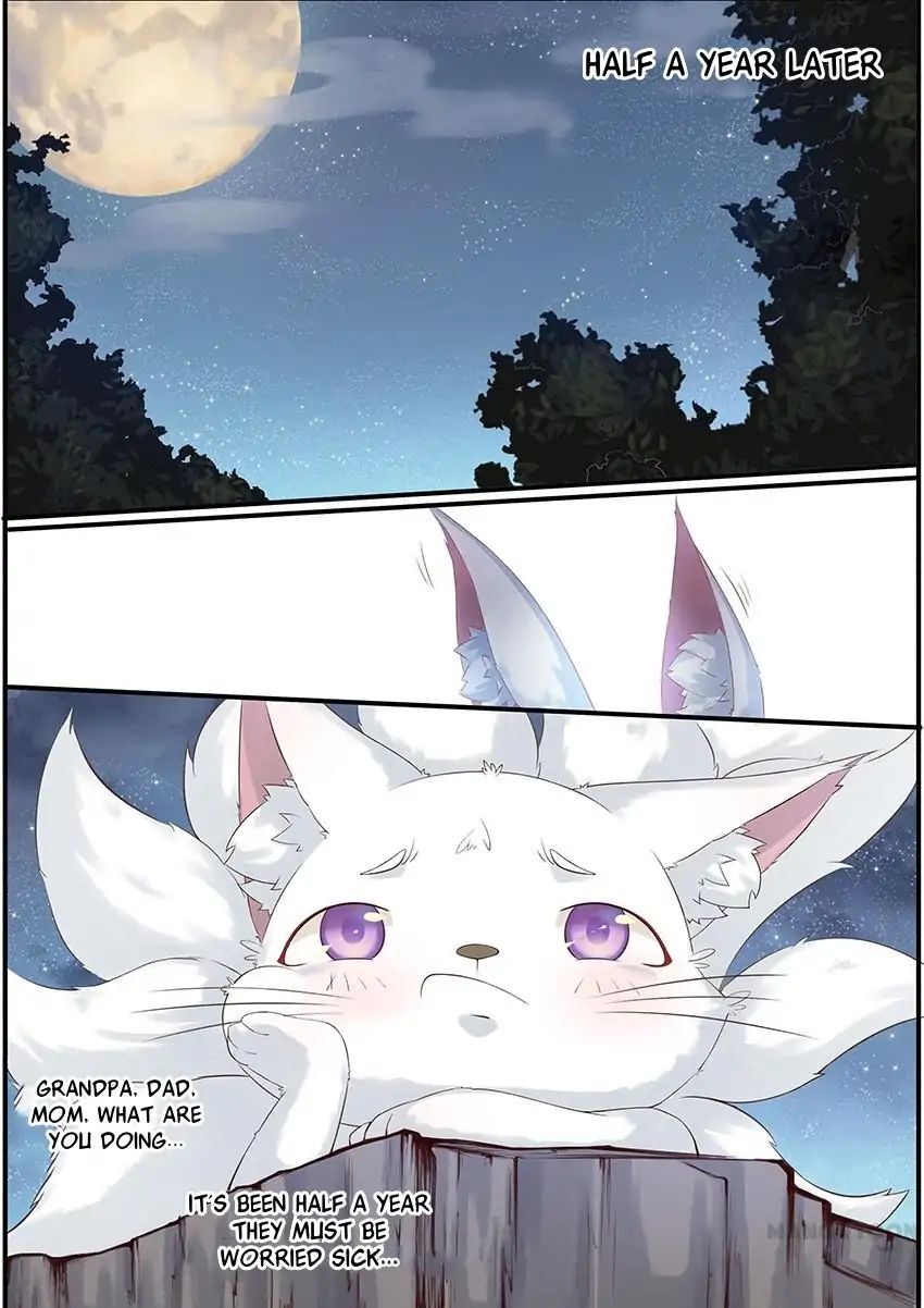 Crown Princess is a Fairy Fox! Chapter 1 - page 10