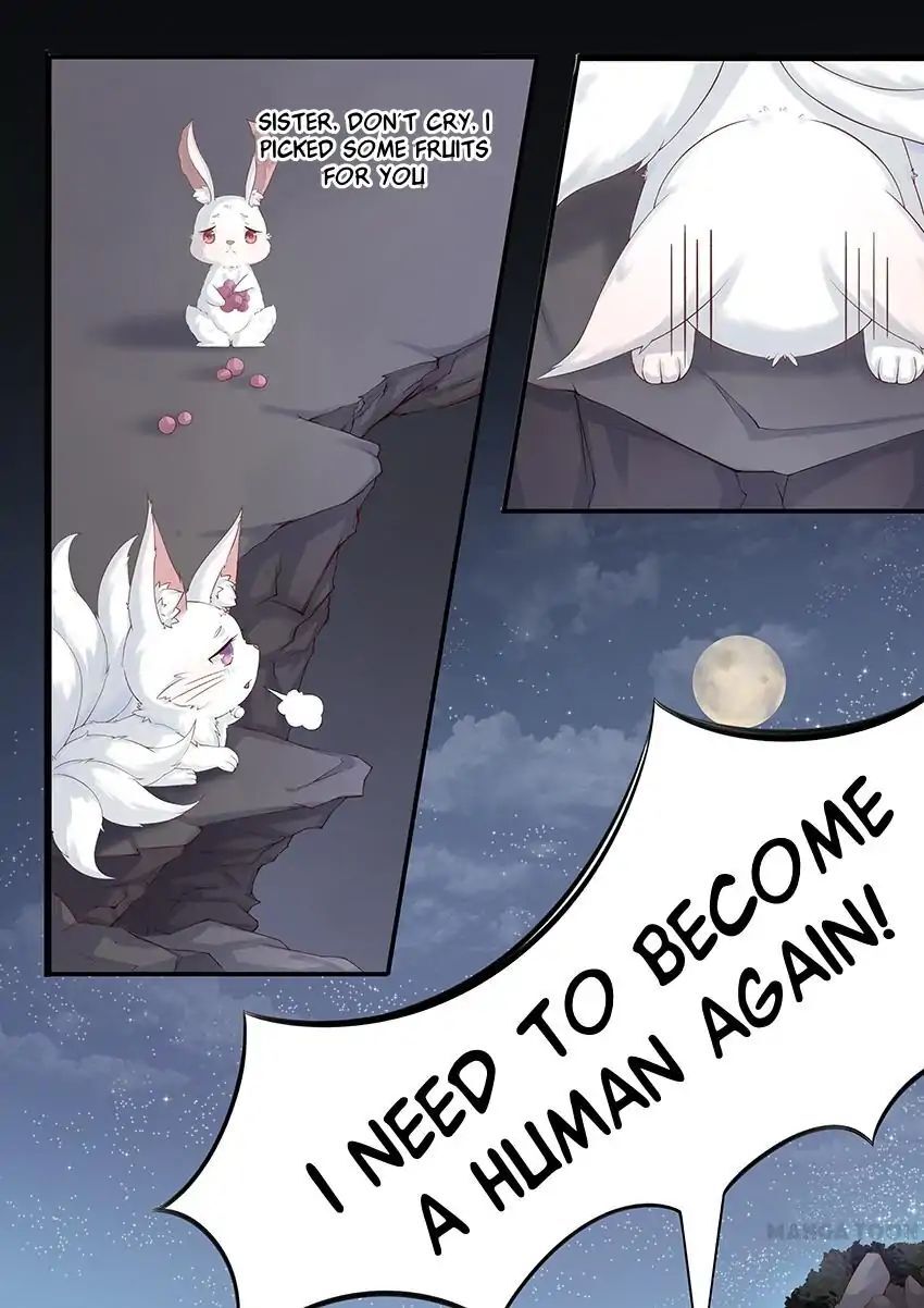 Crown Princess is a Fairy Fox! Chapter 1 - page 11