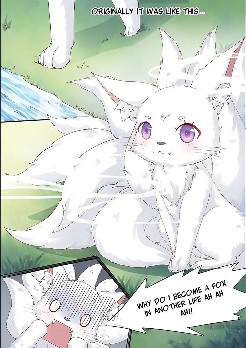 Crown Princess is a Fairy Fox! Chapter 1 - page 4