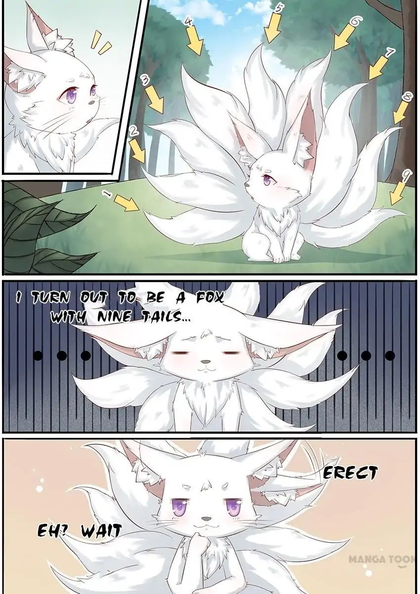 Crown Princess is a Fairy Fox! Chapter 1 - page 5