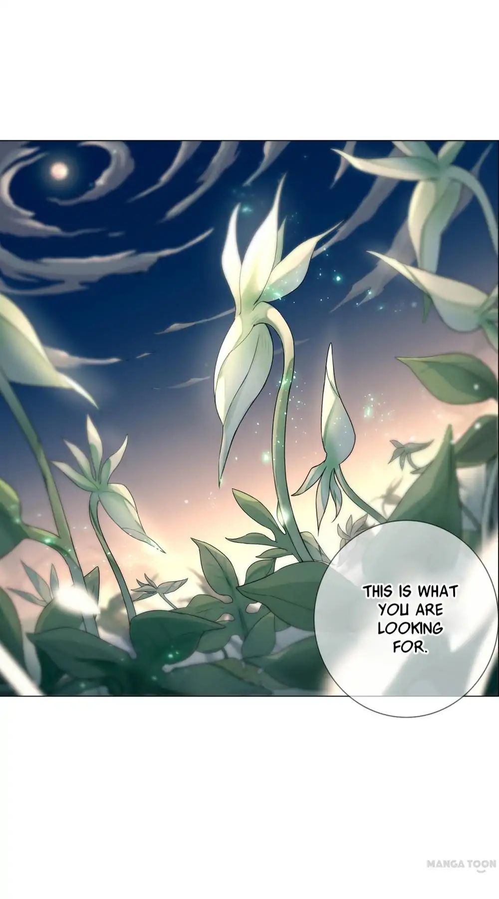 The Phoenix Chapter 13 - page 17