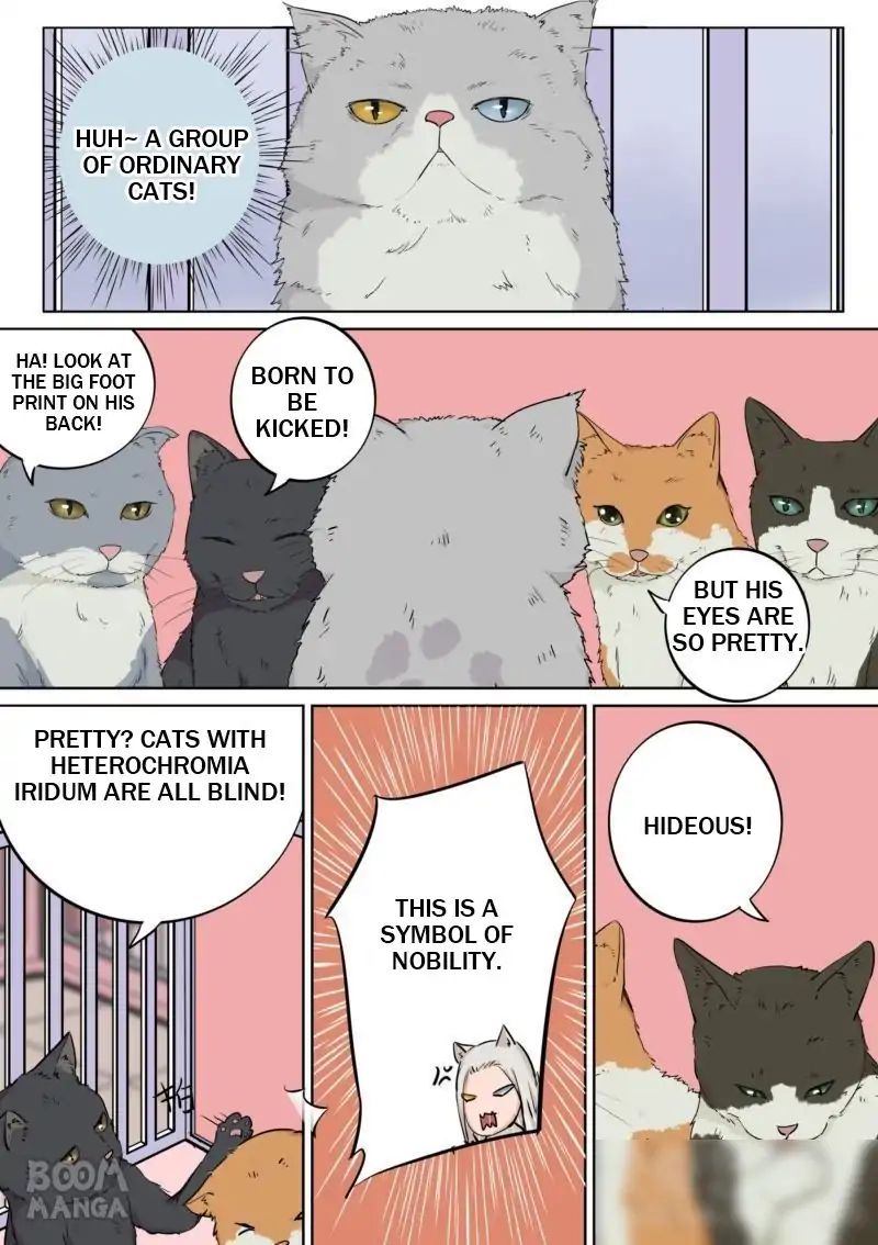 Fury Cat Chapter 5 - page 3