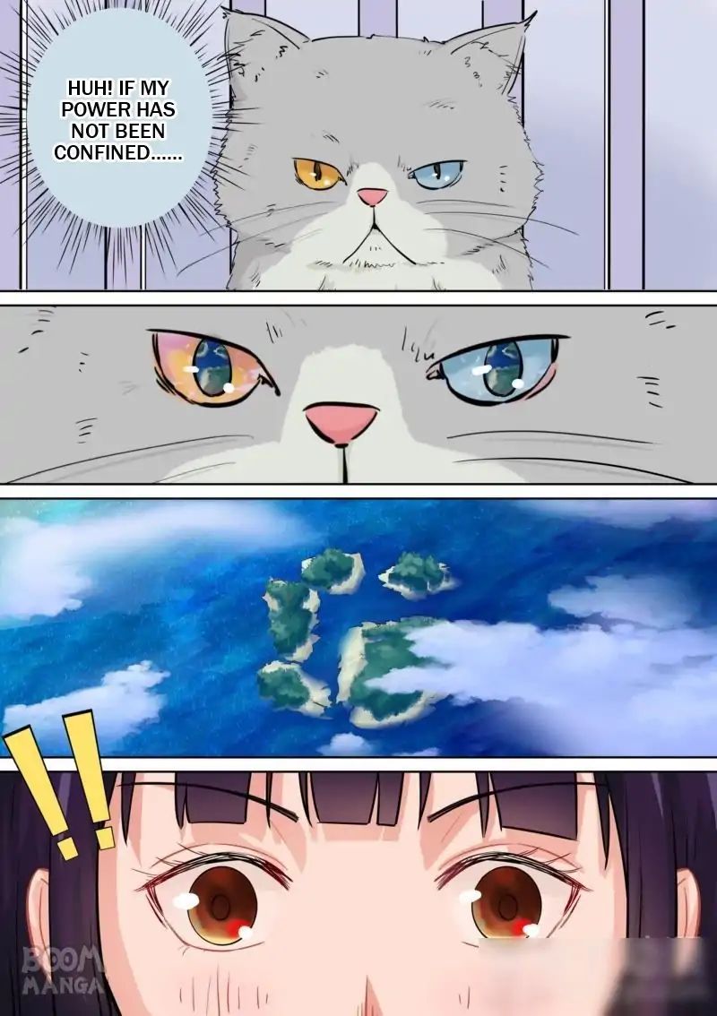 Fury Cat Chapter 5 - page 4