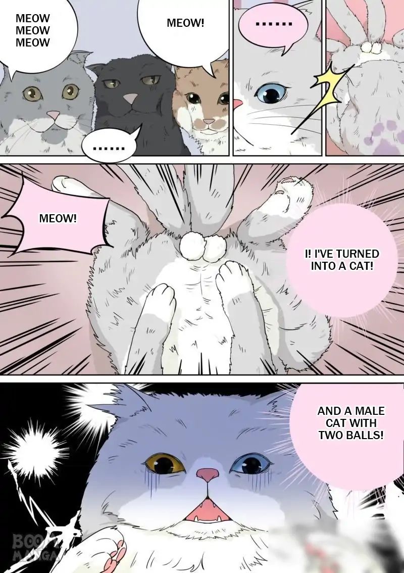 Fury Cat Chapter 5 - page 7