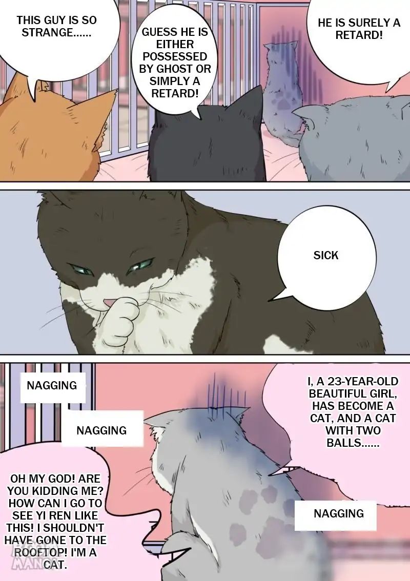 Fury Cat Chapter 5 - page 8