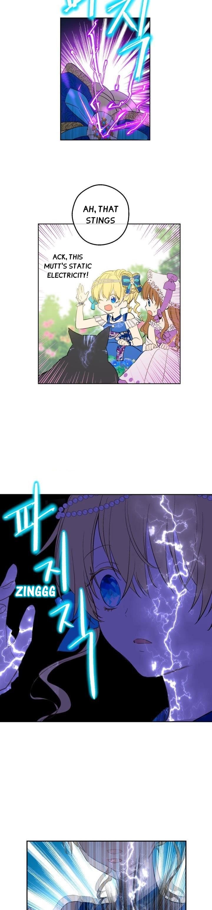 Who Made me a Princess Chapter 45 - page 13