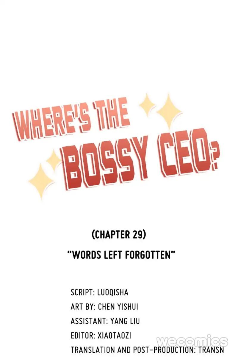 Where’s the Bossy CEO? Chapter 29 - page 1