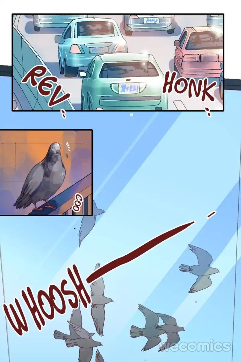 Where’s the Bossy CEO? Chapter 15 - page 2