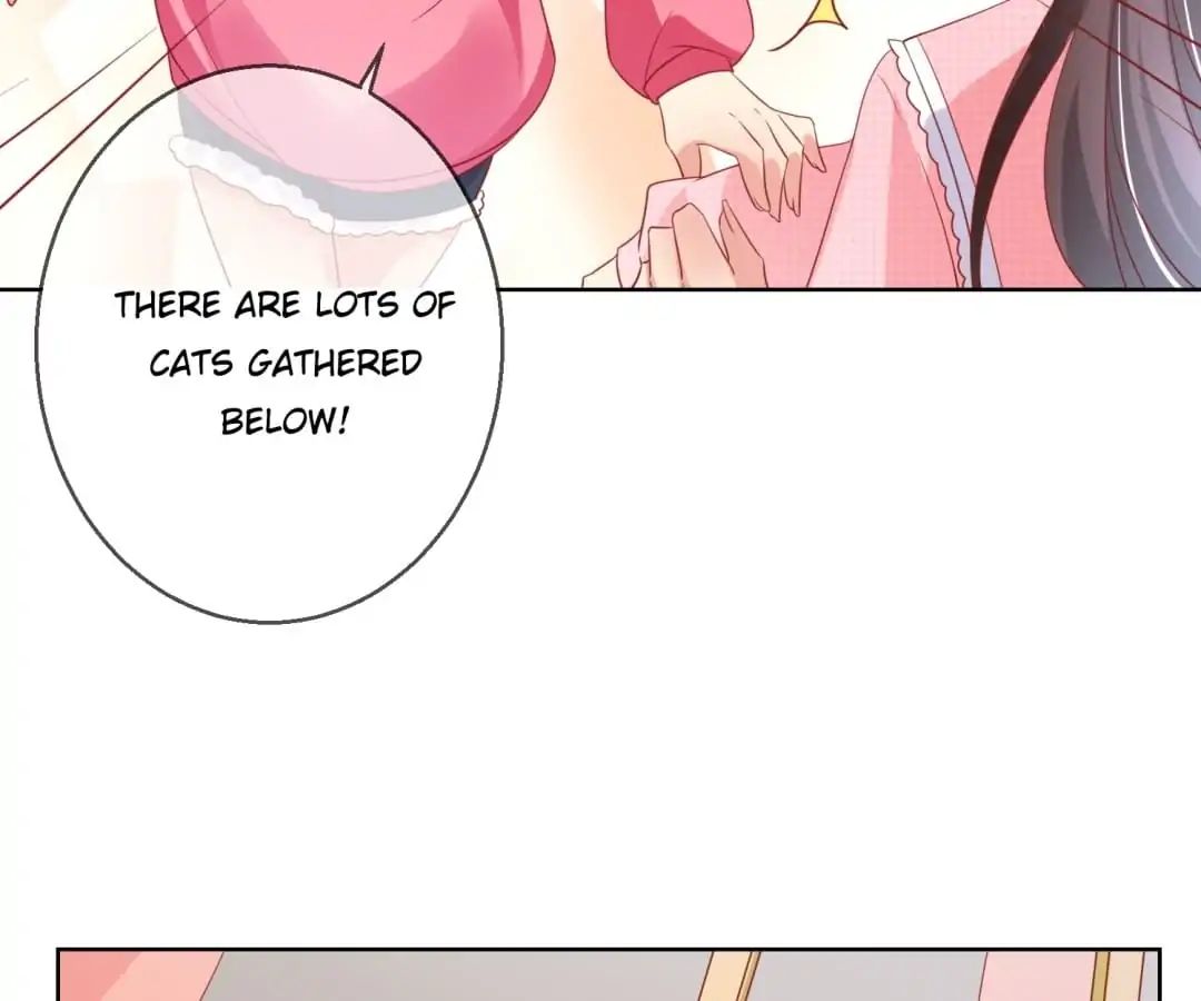 Popular Deskmate is A Cat chapter 45 - page 54