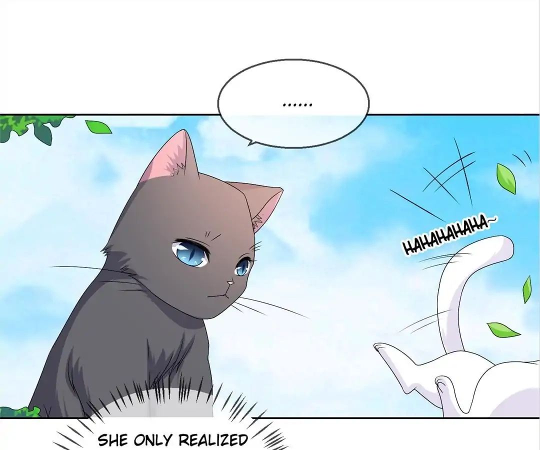 Popular Deskmate is A Cat chapter 36 - page 67