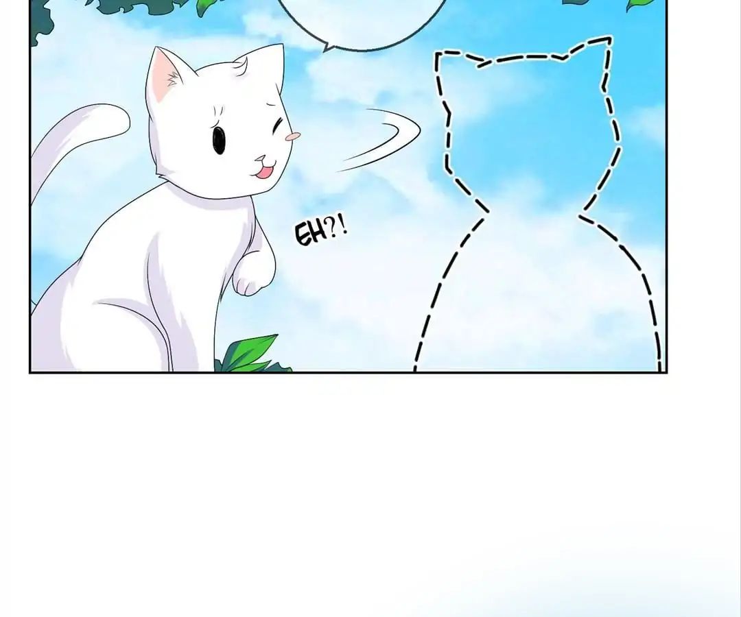 Popular Deskmate is A Cat chapter 36 - page 69