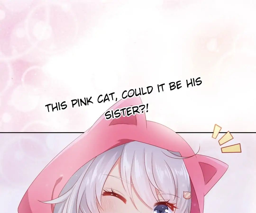 Popular Deskmate is A Cat chapter 37 - page 72
