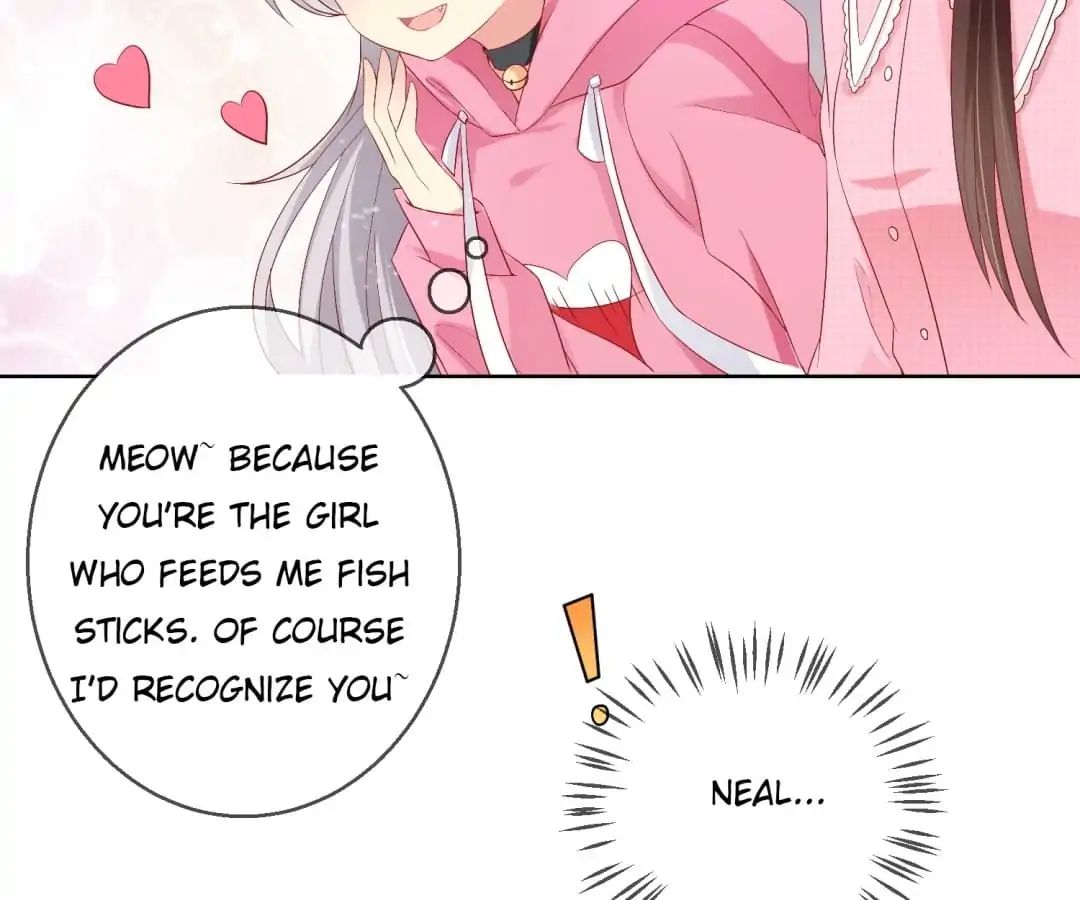 Popular Deskmate is A Cat chapter 39 - page 12