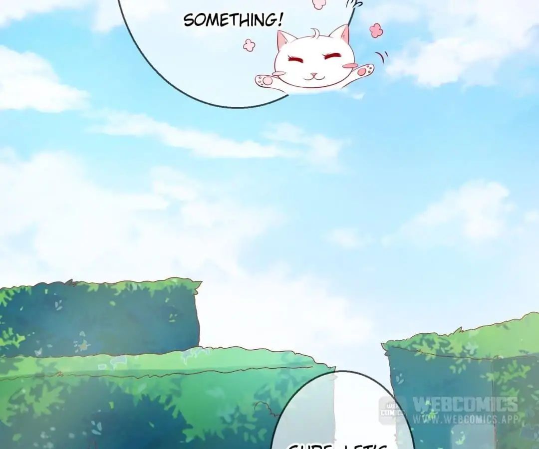 Popular Deskmate is A Cat chapter 39 - page 6