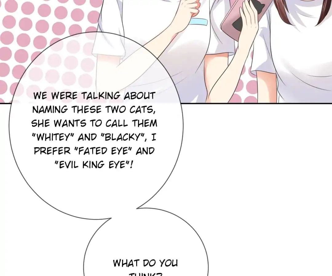Popular Deskmate is A Cat chapter 4 - page 15
