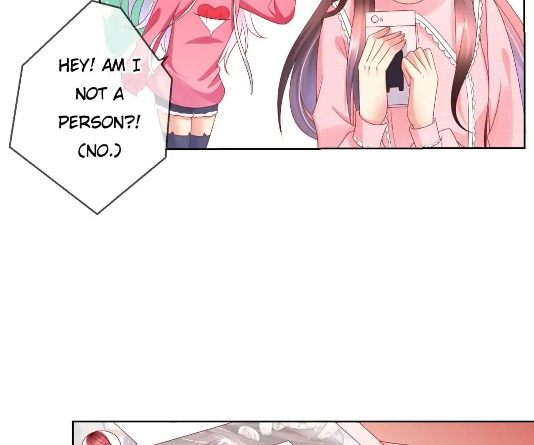 Popular Deskmate is A Cat chapter 43 - page 17
