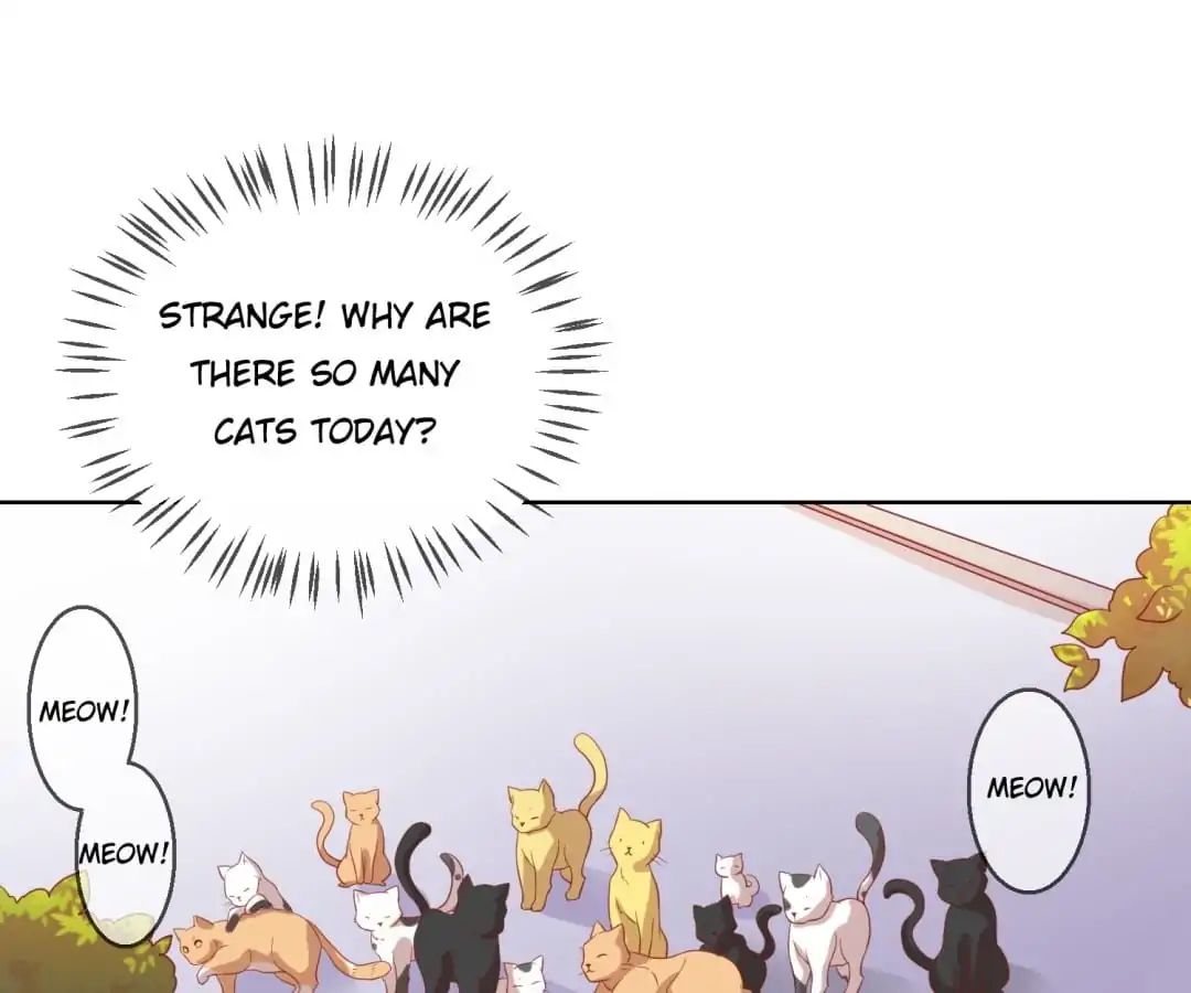 Popular Deskmate is A Cat chapter 46 - page 1