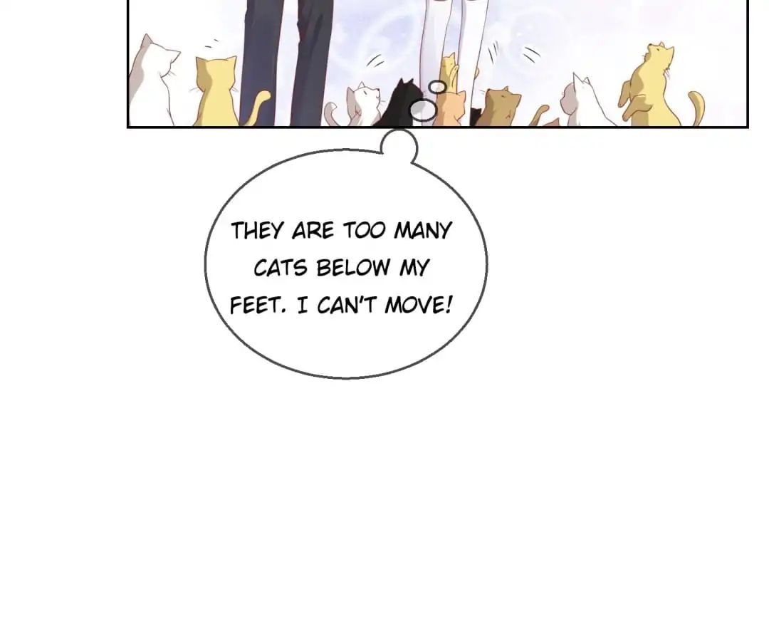 Popular Deskmate is A Cat chapter 46 - page 19