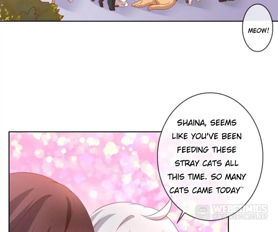 Popular Deskmate is A Cat chapter 46 - page 2