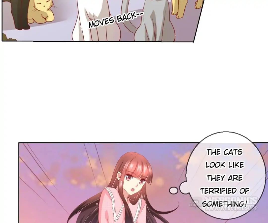 Popular Deskmate is A Cat chapter 46 - page 22