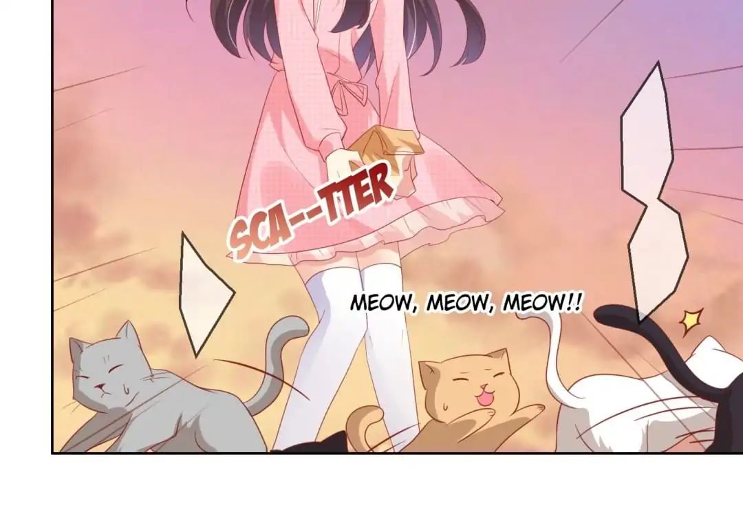 Popular Deskmate is A Cat chapter 46 - page 23