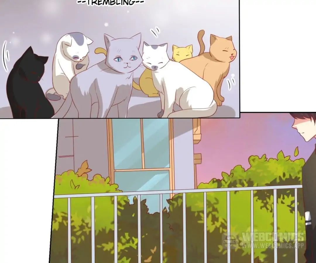 Popular Deskmate is A Cat chapter 46 - page 26