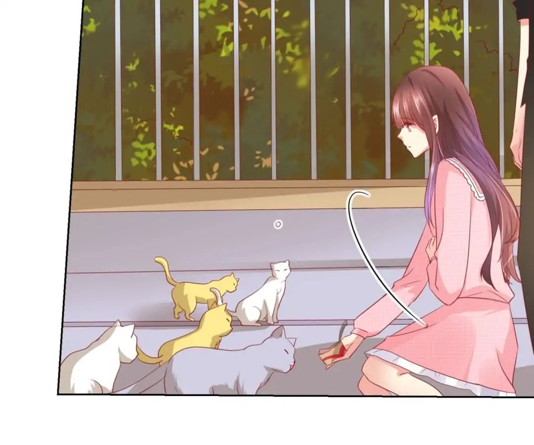 Popular Deskmate is A Cat chapter 46 - page 27