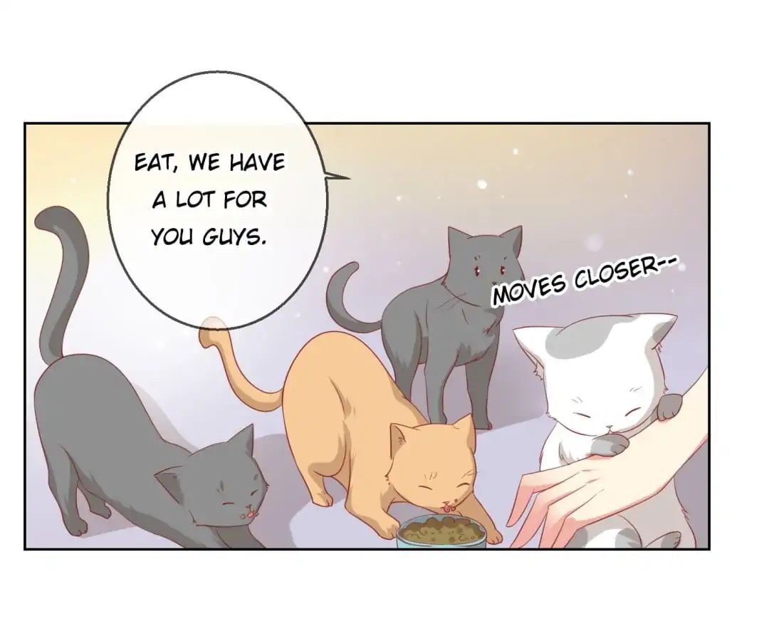 Popular Deskmate is A Cat chapter 46 - page 31