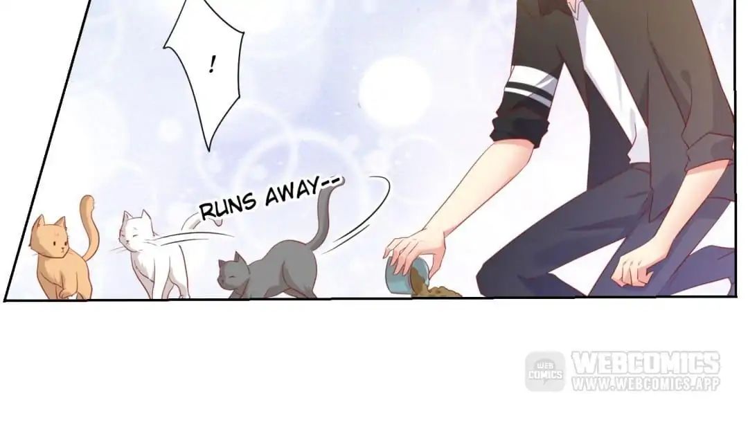 Popular Deskmate is A Cat chapter 46 - page 36