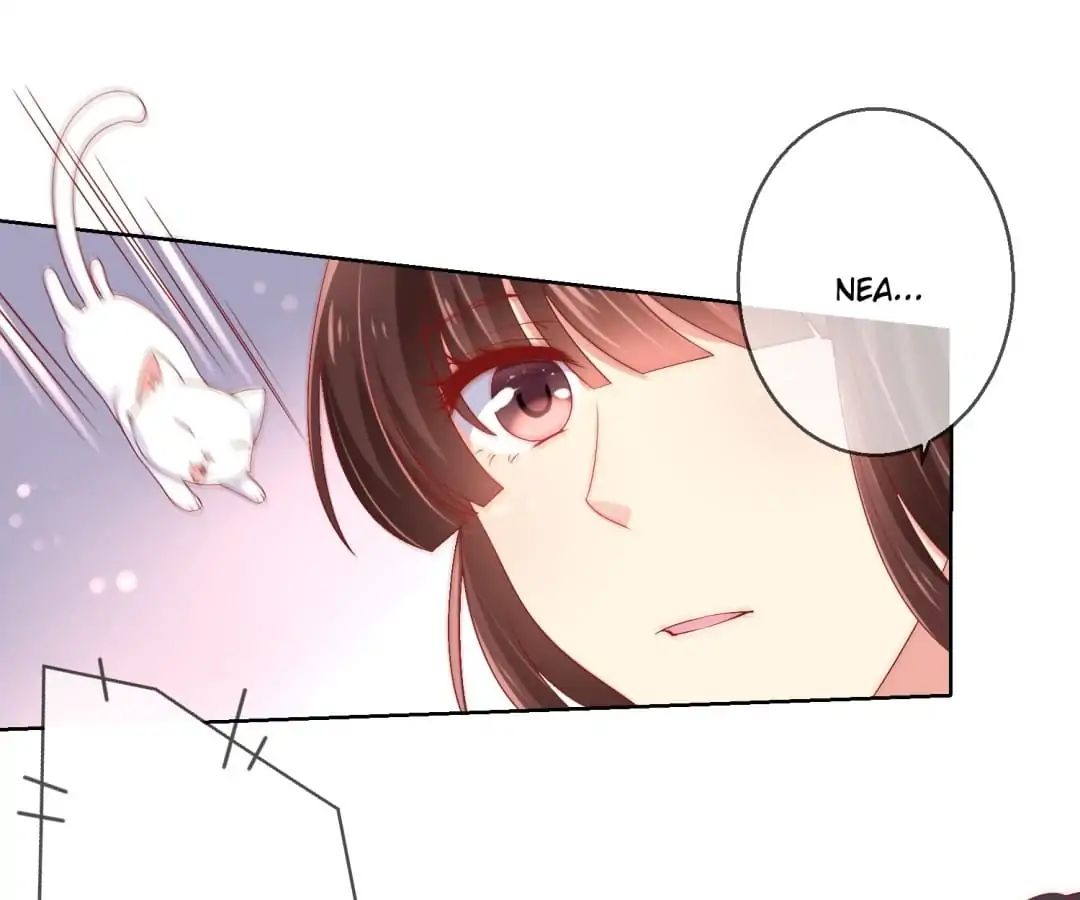 Popular Deskmate is A Cat chapter 47 - page 1