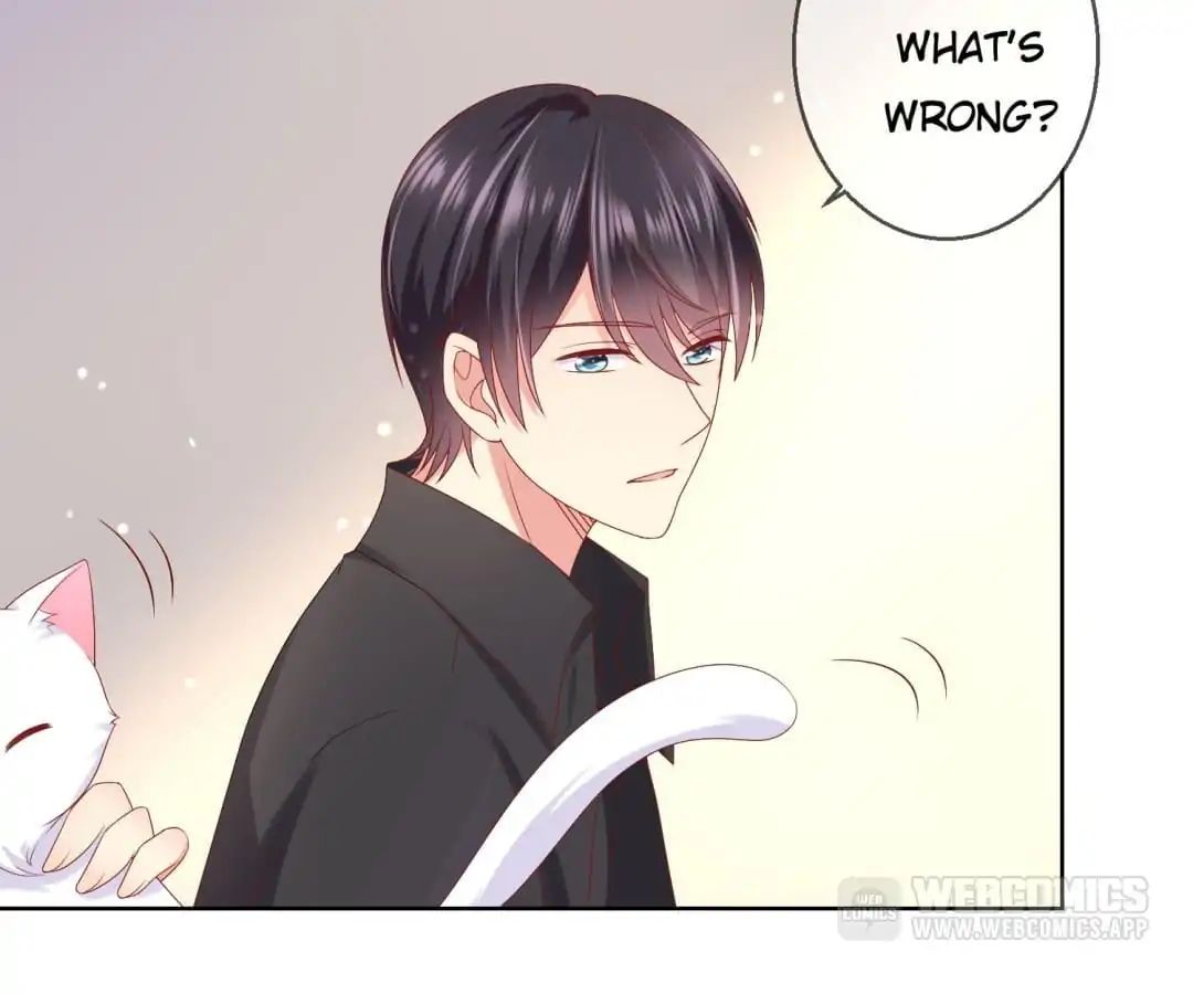 Popular Deskmate is A Cat chapter 47 - page 10