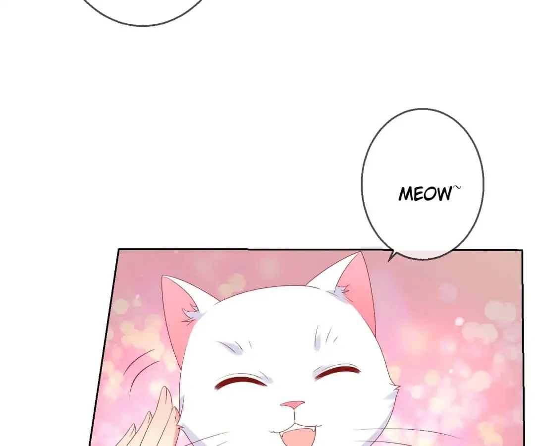 Popular Deskmate is A Cat chapter 47 - page 13