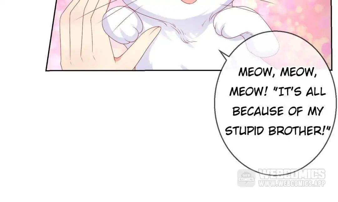Popular Deskmate is A Cat chapter 47 - page 14
