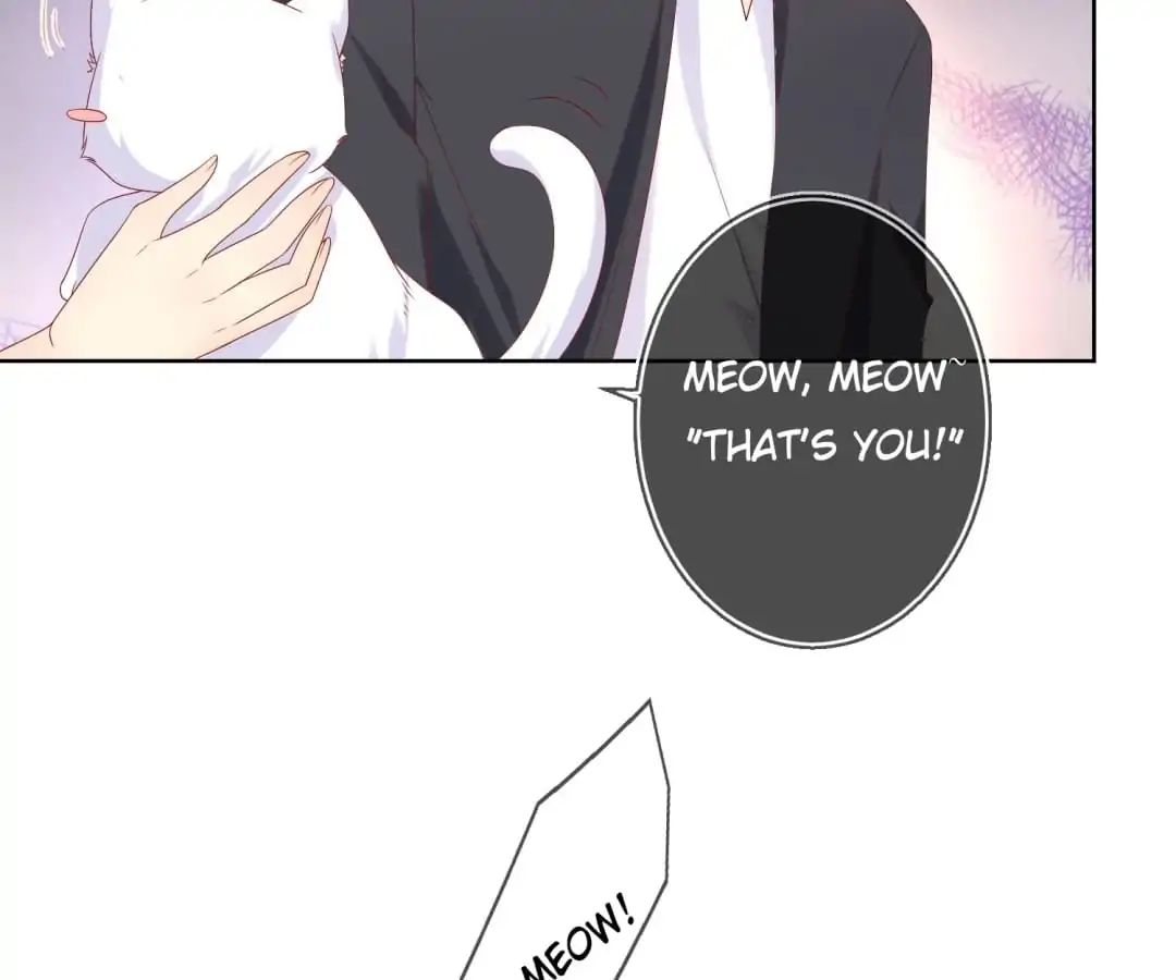 Popular Deskmate is A Cat chapter 47 - page 16