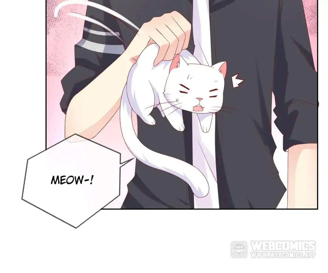Popular Deskmate is A Cat chapter 47 - page 18