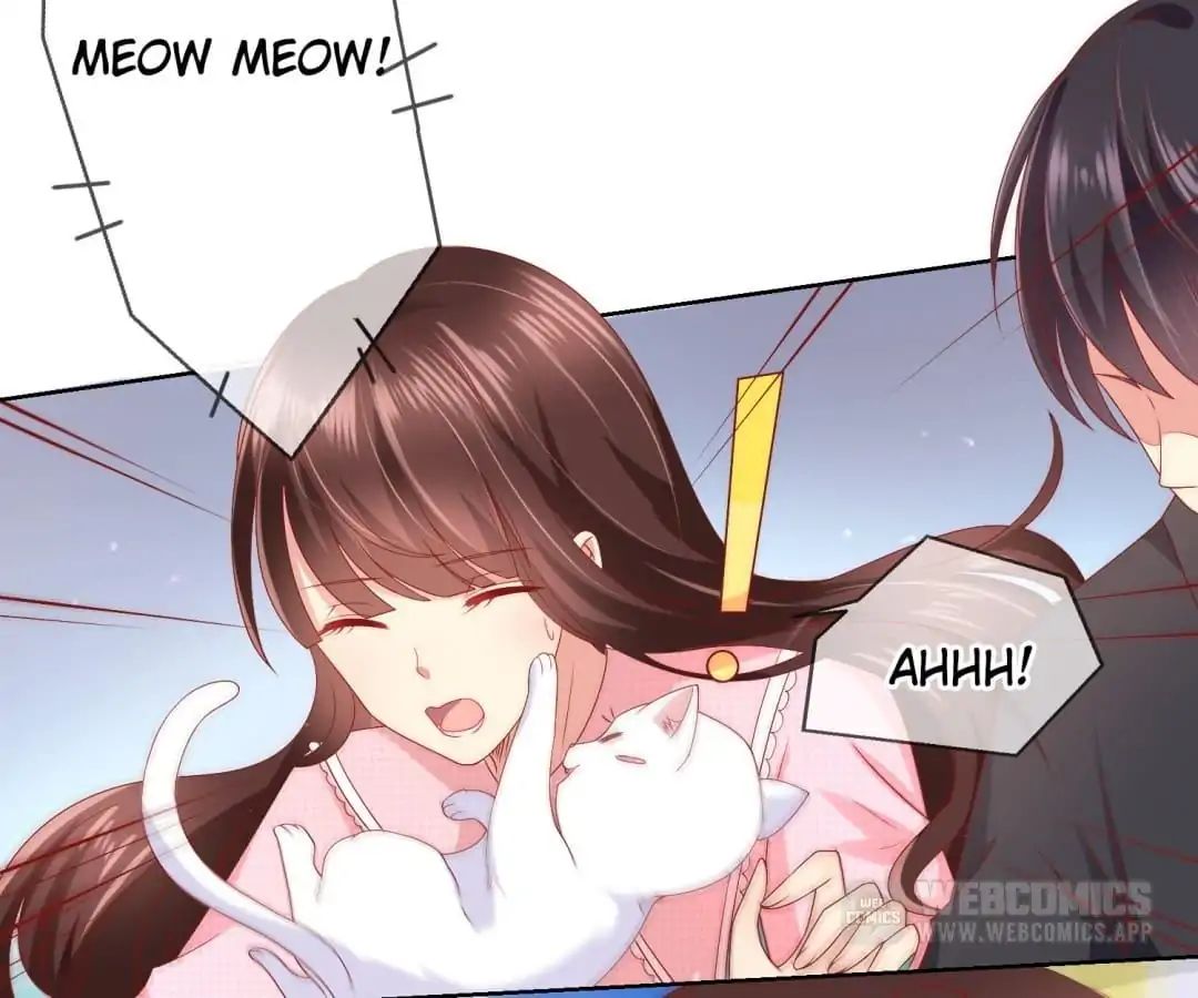 Popular Deskmate is A Cat chapter 47 - page 2