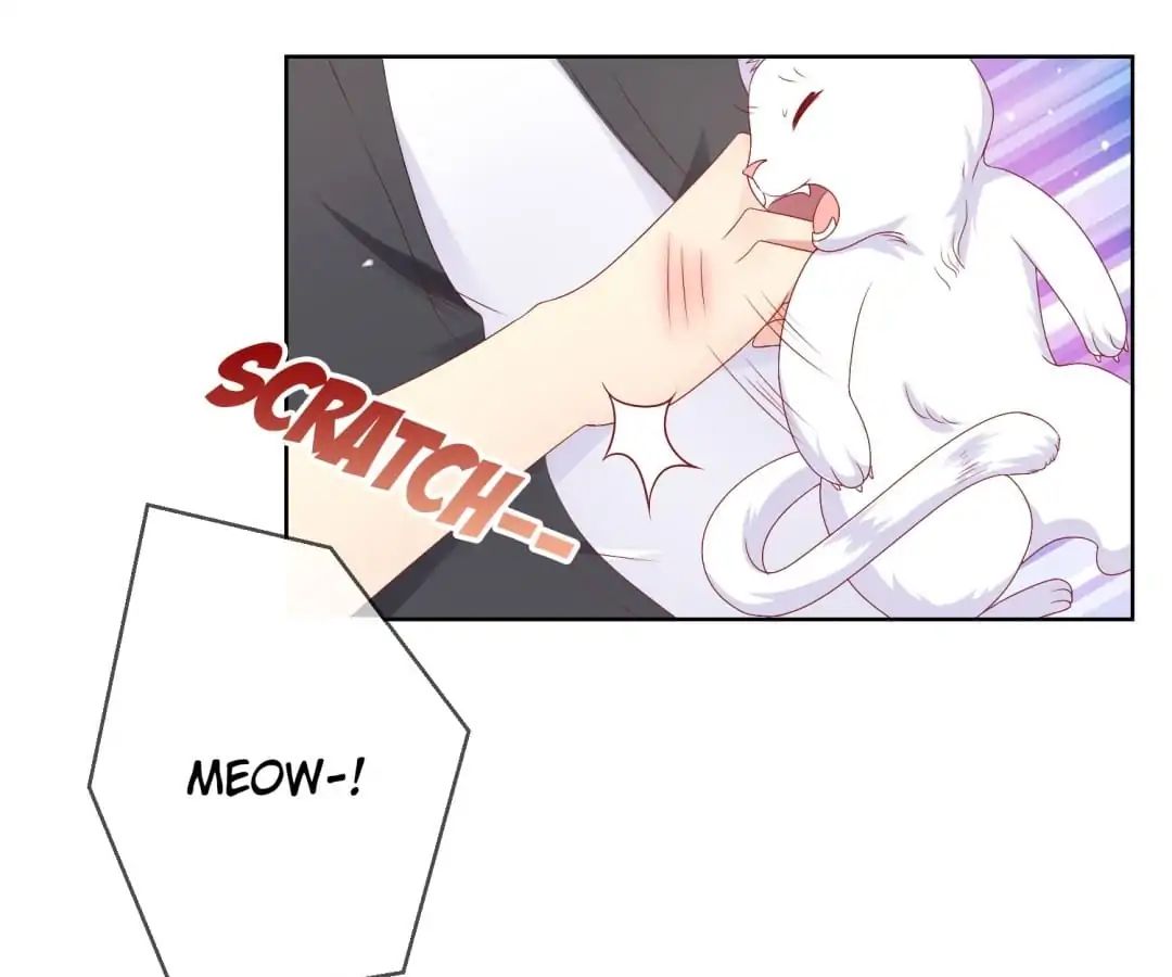 Popular Deskmate is A Cat chapter 47 - page 21