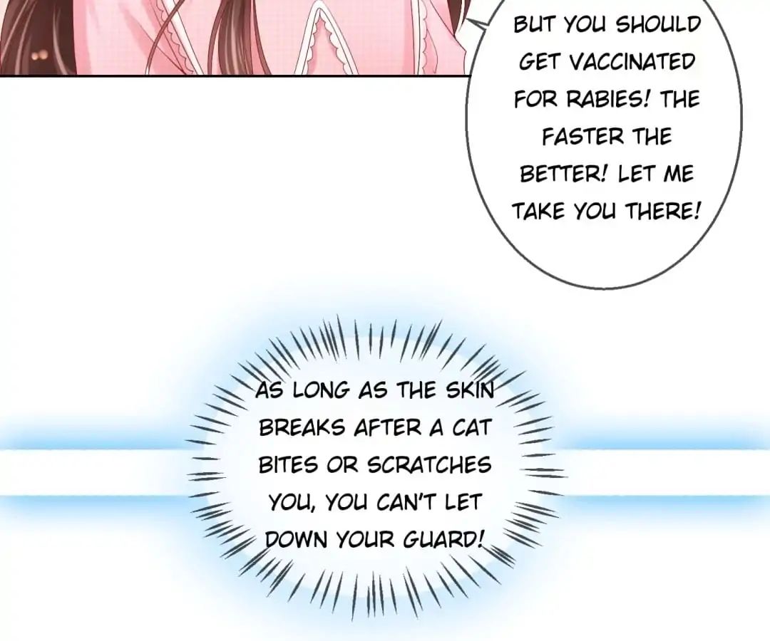 Popular Deskmate is A Cat chapter 47 - page 36