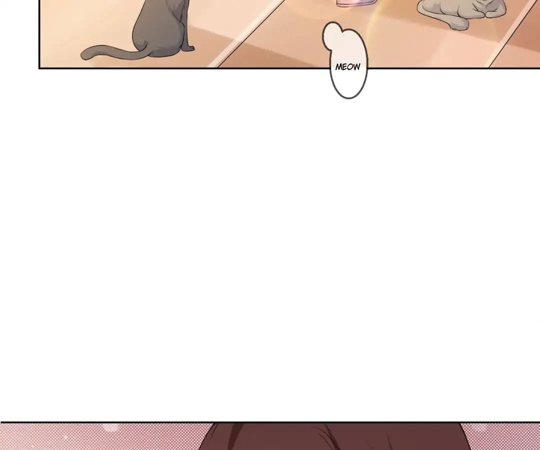 Popular Deskmate is A Cat chapter 5 - page 60