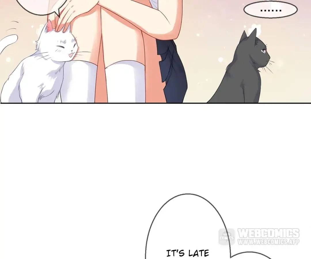 Popular Deskmate is A Cat chapter 5 - page 66