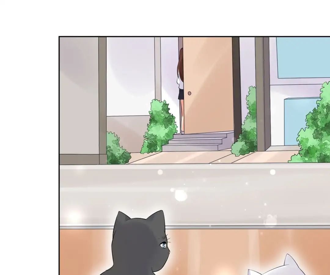 Popular Deskmate is A Cat chapter 5 - page 69