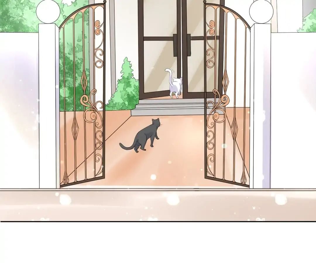 Popular Deskmate is A Cat chapter 5 - page 71